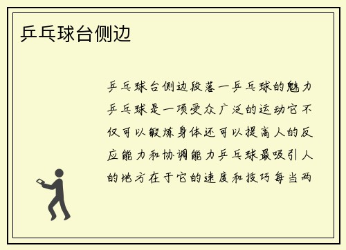 乒乓球台侧边