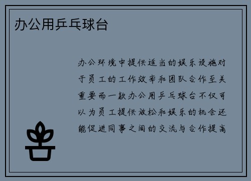 办公用乒乓球台